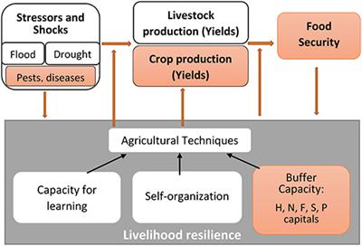 Buffer-Capacity-Based Livelihood Resilience to Stressors—An Early Warning Tool and Its Application in Makueni County, Kenya